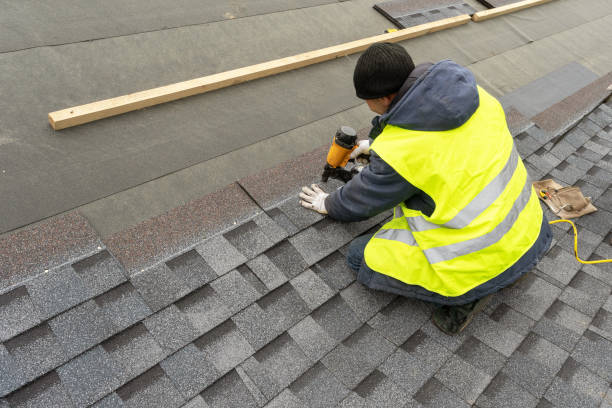 Best Flat Roof Repair Services  in Anoka, MN