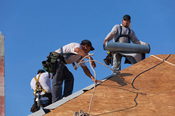 Gutter Installation and Roofing in Anoka, MN