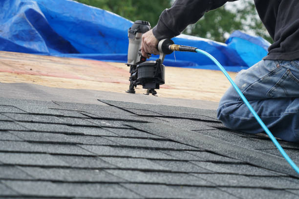 Best Roof Leak Repair  in Anoka, MN