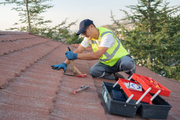 Quick and Trustworthy Emergency Roof Repair Services in Anoka, MN