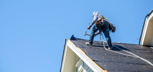 Best Storm Damage Roof Repair  in Anoka, MN